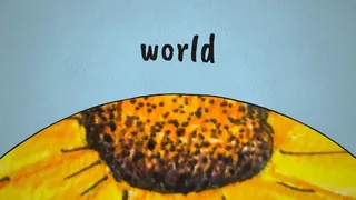 Playful Hand-Drawn Video With Synced Sound