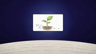 Distilbook Reel in Reference Video Style