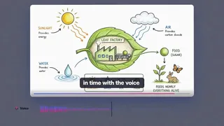 Thirty Second Motion Graphics Product Explainer With Music