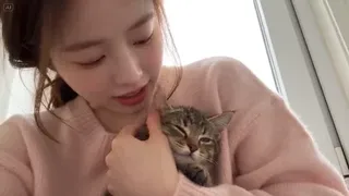 A woman holding a small tabby kitten that is playfully grabbing a strand of her hair during a handheld smartphone selfie video.