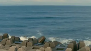Young Asian woman in a white dress on a seaside platform, with waves, seagulls, and a cat.