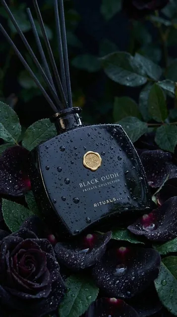 Ultra-realistic luxury product photography of a black glass reed diffuser bottle labeled “BLACK OUDH – Private Collectio