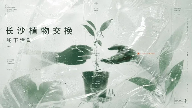 围绕具体主题内容生成一张竖向结构视觉作品，让主题核心先被压缩成暗色骨架、负形空洞和局部识别边缘，再从大面积主题场域内部显影；主体不完整站在背景前，而像被透明介质包裹、遮挡、折射后只留下必要的质量、方向和边缘。画面建立一个高明度、低噪声的主场