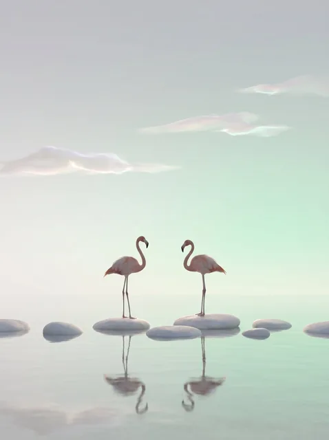两只悠闲的火烈鸟一动不动地矗立在一片平滑的浅色鹅卵石上，周围是一片清澈、如丝绸般柔和的浅水域。该作品以广阔的极简主义渐变天空为主，从柔和的灰白色过渡到淡雅的晨曦浅绿色，点缀着几缕轻盈、半透明的薄雾，散发着微弱的珍珠般光泽。灯光暗示着清晨的微
