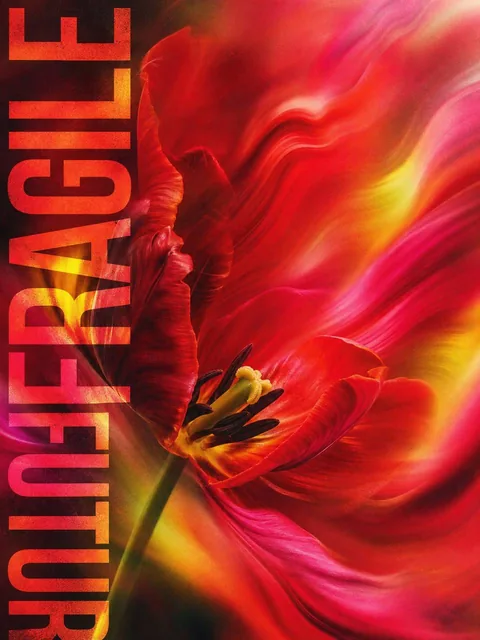 Macro close-up of a blooming red tulip with petals dissolving into fluid motion blur waves of crimson, pink, orange, and yellow, with 'FRAGILE FUTURE' typography and glowing haze.