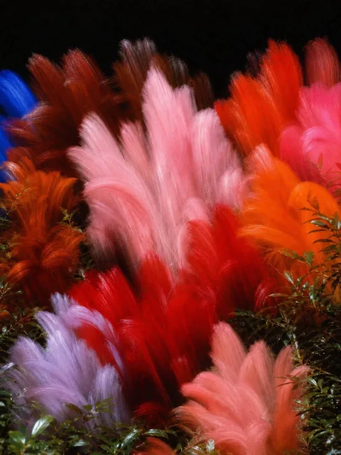 A close-up flash photograph of real flowers at night with intentional slow-shutter camera movement, creating smeared trails of pale pink cosmos, deep red, orange marigold, and hot pink flowers against a dark black background with slight grain.