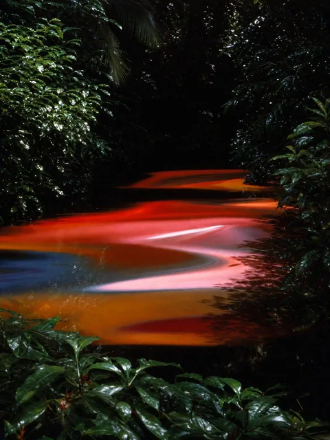 Analog photograph of a dark, humid jungle at night, with a still river reflecting abstract, horizontal ribbons of saturated red-orange, amber-gold, coral-pink, and white light.