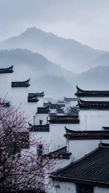 A vertical 9:16 image of a Huizhou village in early spring, showcasing white horse-head walls, grey-black tiled roofs, and pale pink blossoms against a backdrop of misty blue-grey