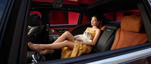 A young elegant woman rests with a fluffy white and grey cat on her lap across the spacious bac...