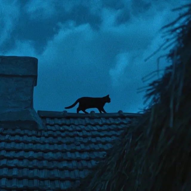 A silhouetted black cat walks along a tiled roof ridge against a cloudy cyan-blue night sky. A...