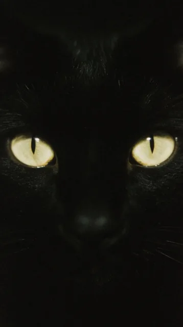 extreme close-up of luminous pale yellow cat eyes glowing in pitch black darkness, vertical sli...