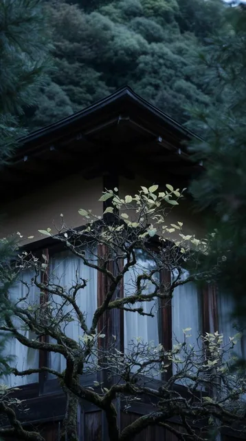 A traditional wooden building nestled in a dense forest is partially obscured by the twisted, m...