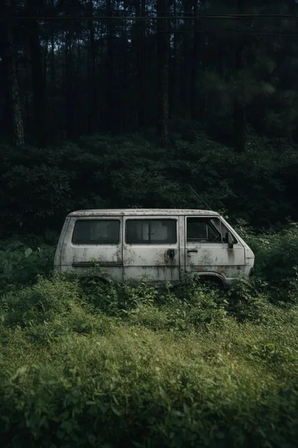 abandoned weathered white van in overgrown lush vegetation, dense dark green forest background,...