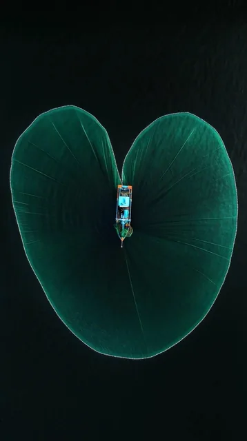 top-down aerial view of a small fishing boat casting a massive luminous emerald green net formi...