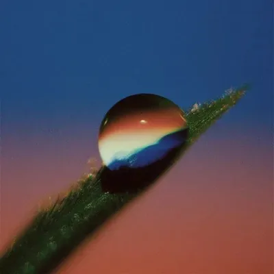 Photography, Vintage, Surrealistic