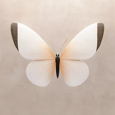 Minimalism