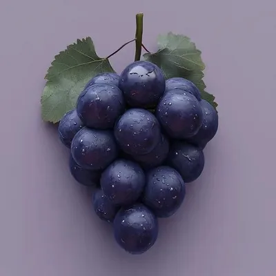 Purple, Photography