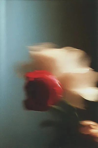 Photography, Film, Vintage
