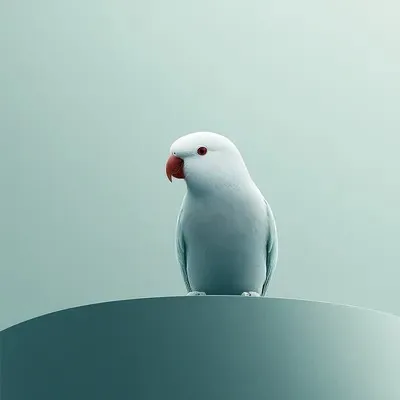 Minimalism