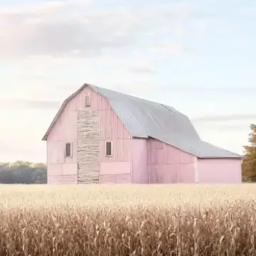 Pink, Photography