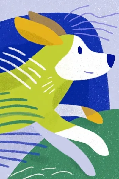 Illustration, Flat vector, Children's book