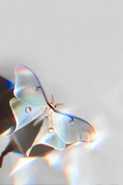 Photography, 3D, Minimalism