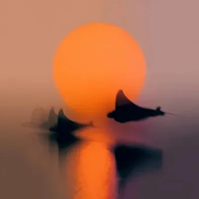 Orange, Minimalism, Surrealistic