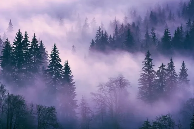 A misty valley landscape with hazy blue and white fog creating a mysterious atmosphere.
