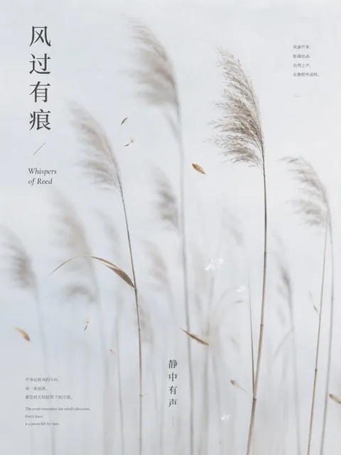 A minimalist poster with soft-focus bamboo shadows, reeds, and a hint of Chinese text against a white background.