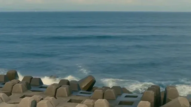 Young Asian woman in a white dress on a seaside platform, with waves, seagulls, and a cat.