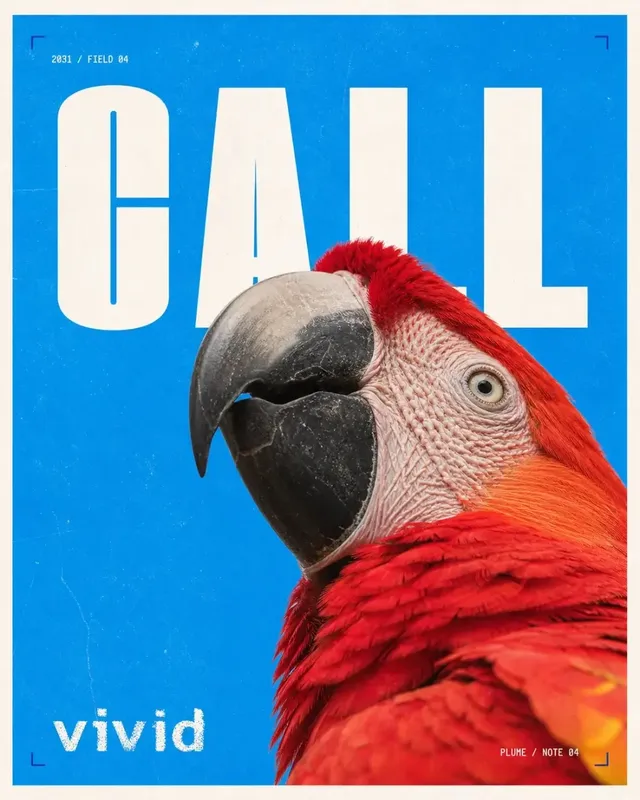 Poster with bold white text 'CALL' on electric blue paper, partially obscured by a photorealistic close-up of a scarlet macaw's head.