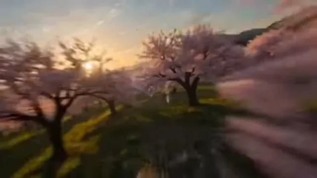 A valley filled with pink cherry blossoms, with petals swirling to form the word 'MORNING' against a sunrise backdrop.