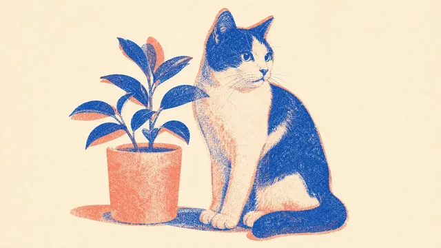 Minimalist risograph-style illustration with grainy texture, two-tone colors, and offset color misalignment on a cream background.