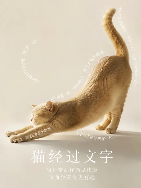 A minimalist vertical Chinese poster where typography flows and interacts with the main visual element.