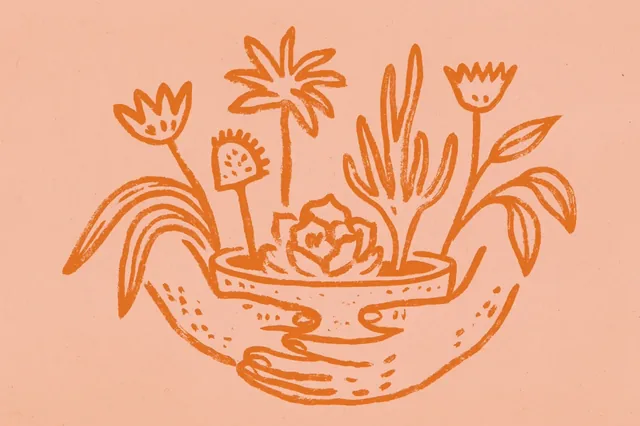 A stylized illustration of a potted succulent and various other plants, held gently by two hands, rendered in a rustic, hand-drawn style with an orange outline on a pale peach background.
